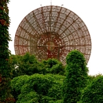 AB 9001.jpg